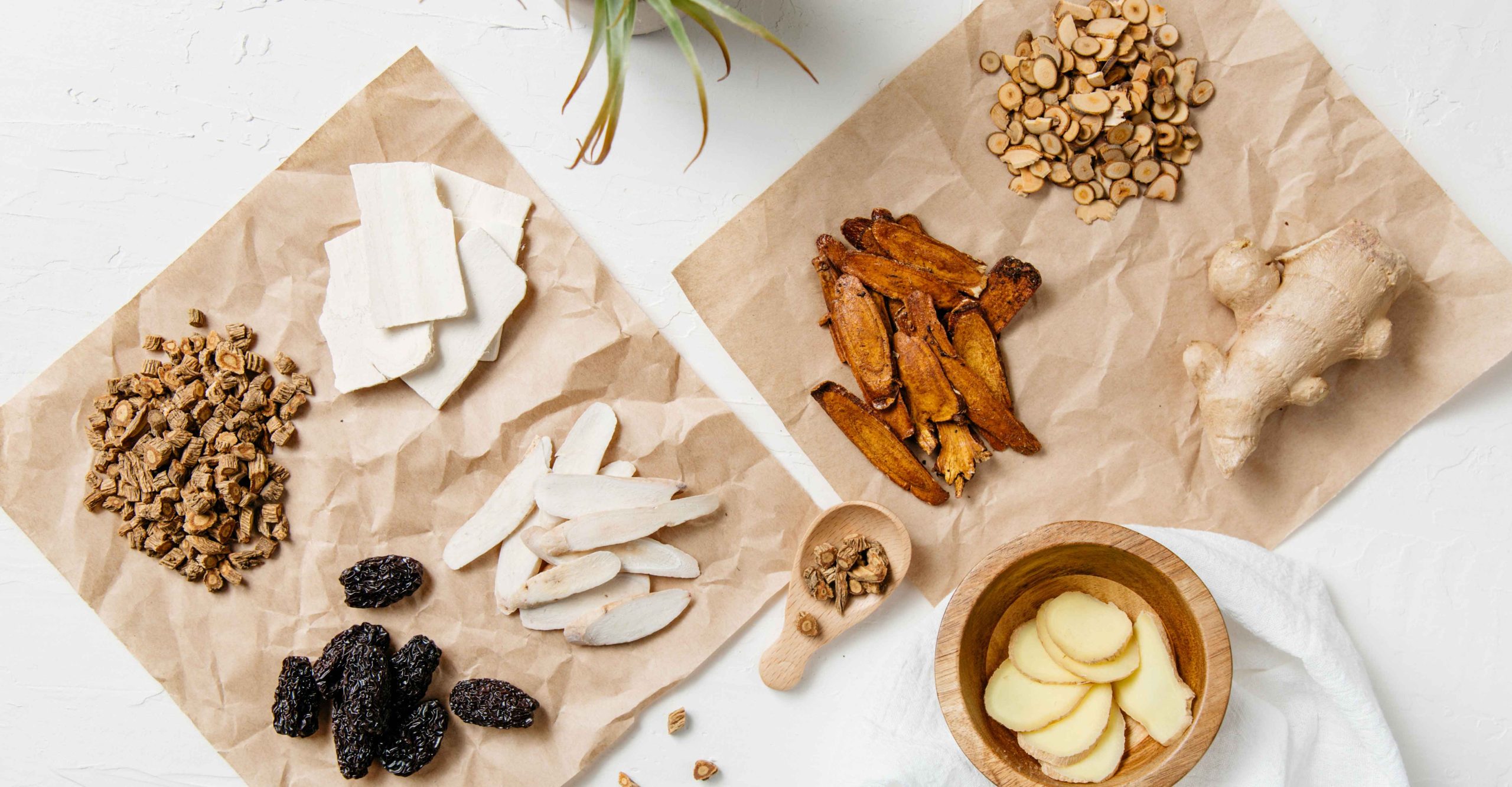 Overhead image of natural herbs and medicine for nutritional health.